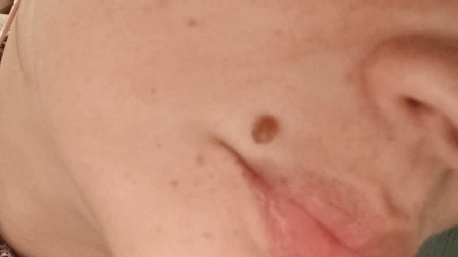 VonHintenWieVonVorne