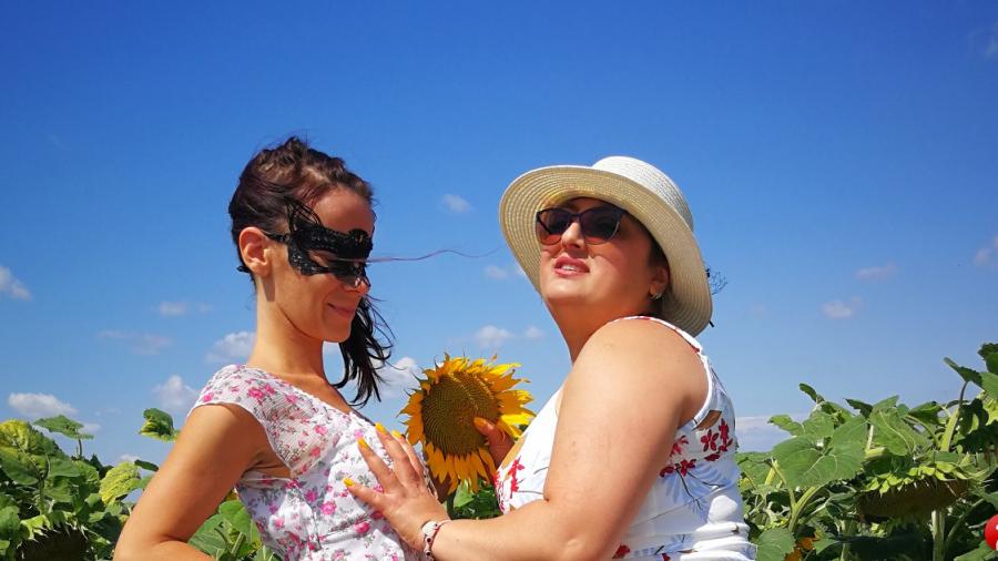 In einem Sonnenblumenfeld t 1