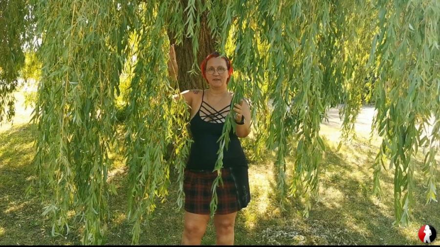 Erotik unter der alten Weide... T****n und M***hi zeigen