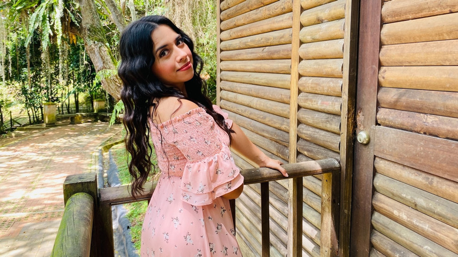 The enchanted forest