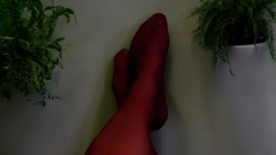 Katies rote Nylons