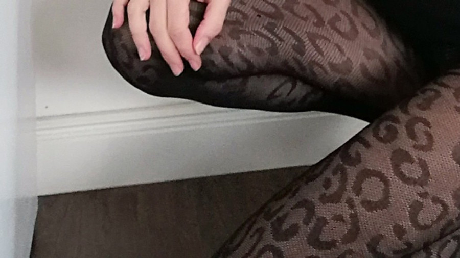Heiße Beine in Nylons