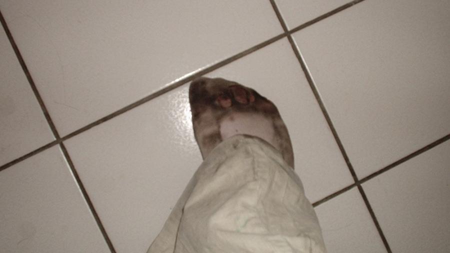 Wer ist hier die D***ksau