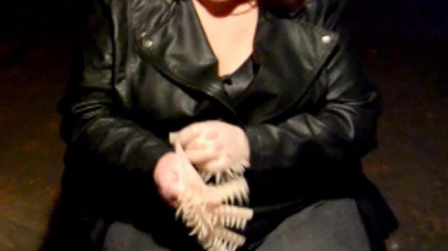 Spike Handschuhe aus Video 2