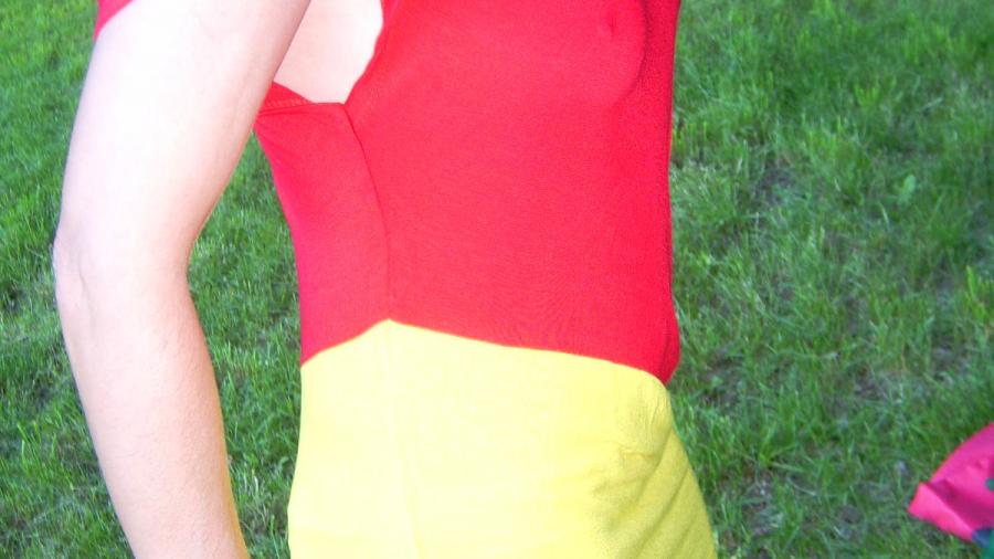 FAN-tastisch WM GEIL